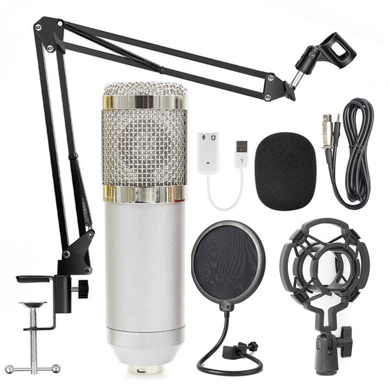 Professional BM-800 Net Microphone Stand Set