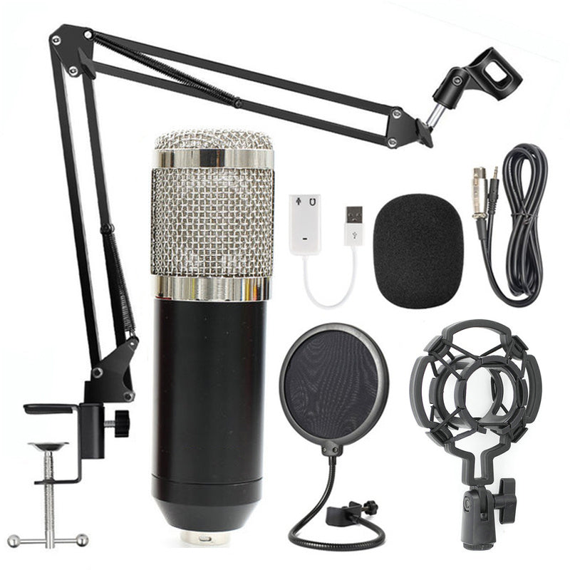 Professional BM-800 Net Microphone Stand Set