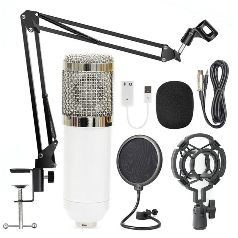 Professional BM-800 Net Microphone Stand Set