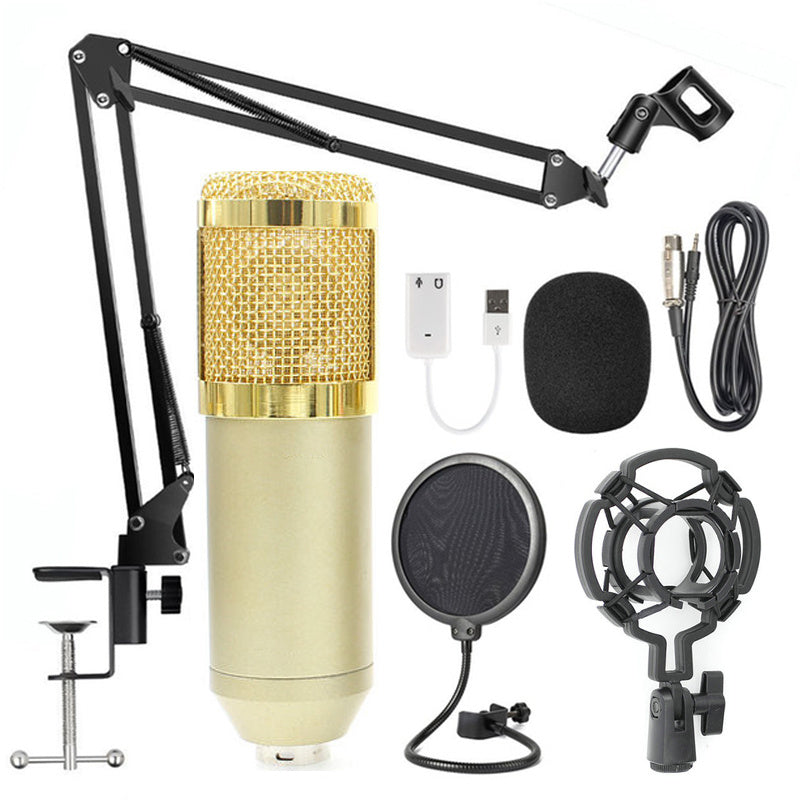 Professional BM-800 Net Microphone Stand Set