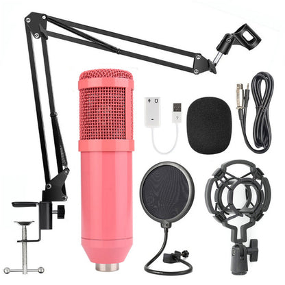 Professional BM-800 Net Microphone Stand Set