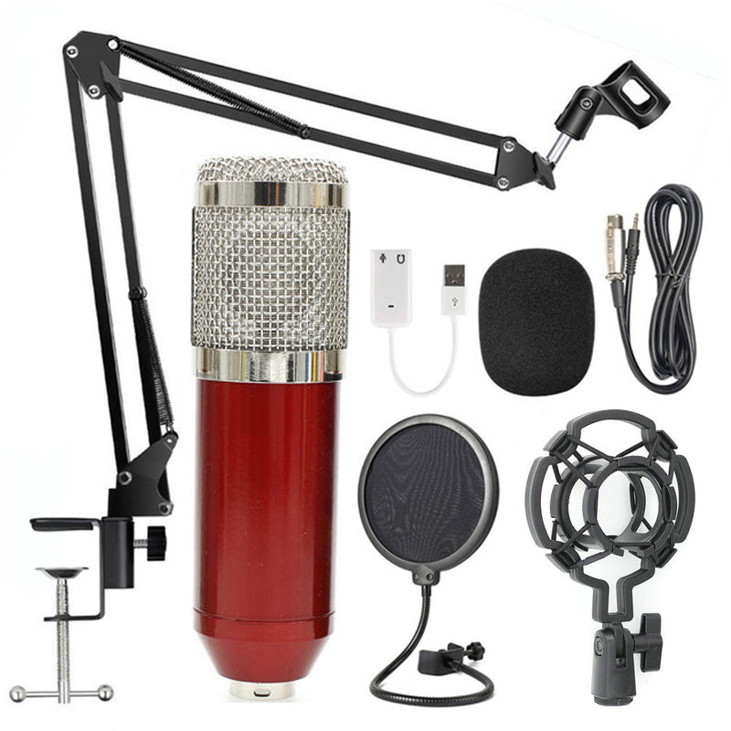 Professional BM-800 Net Microphone Stand Set