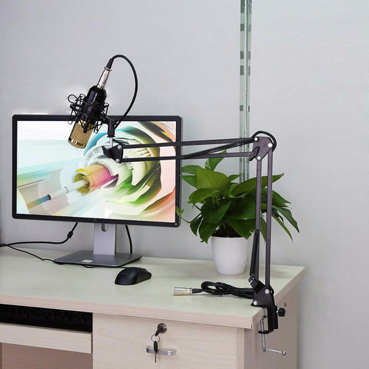 Professional BM-800 Net Microphone Stand Set