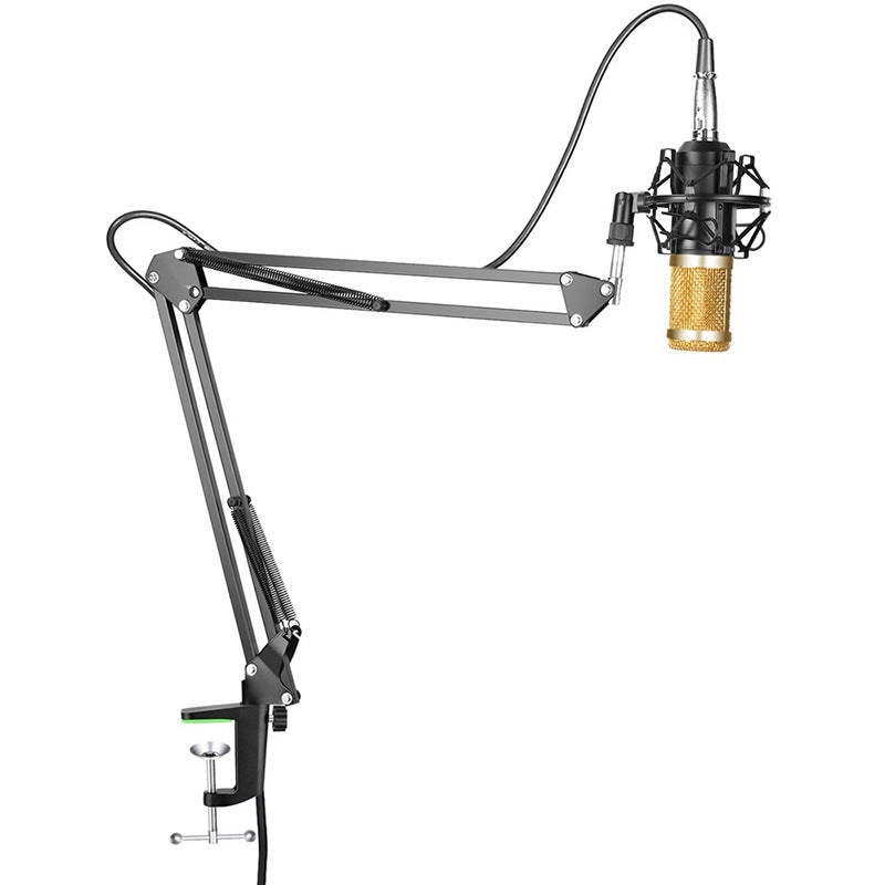 Professional BM-800 Net Microphone Stand Set
