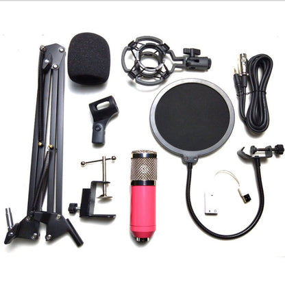 Professional BM-800 Net Microphone Stand Set