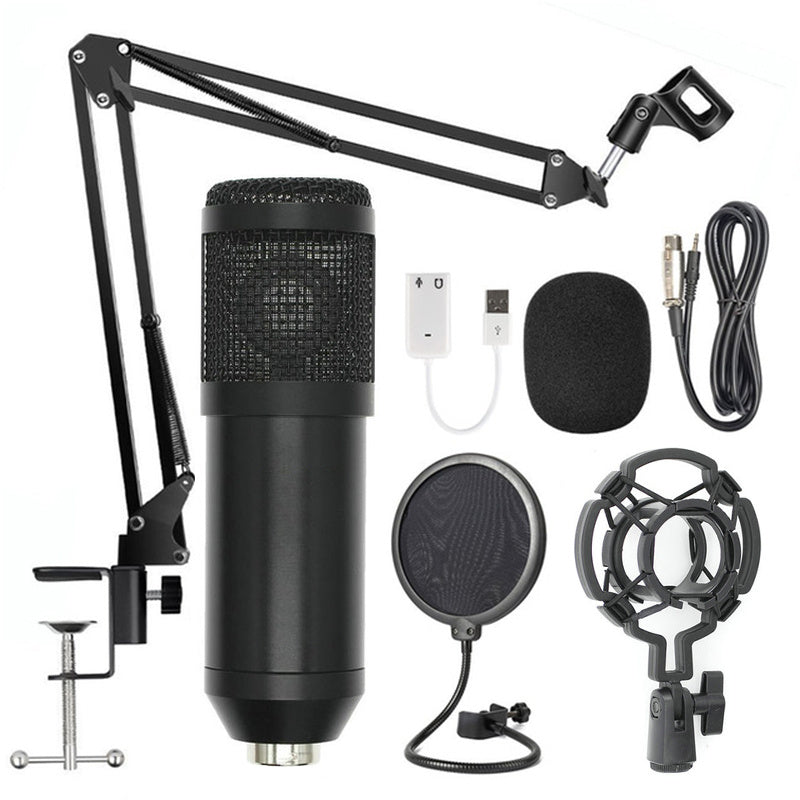 Professional BM-800 Net Microphone Stand Set