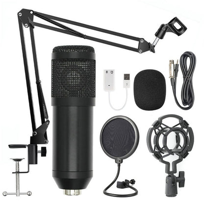 Professional BM-800 Net Microphone Stand Set