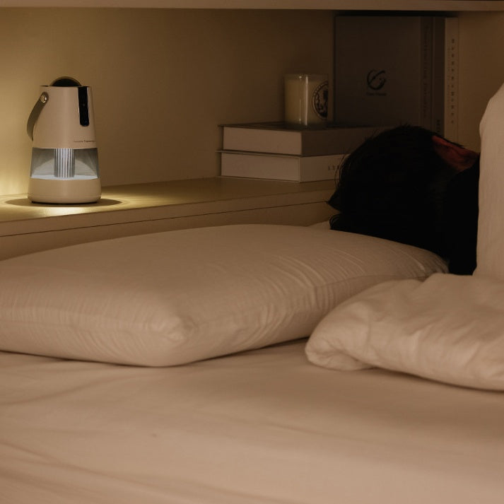 Portable Mosquito Killer Lamp